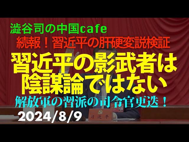 習近平の影武者は陰謀論ではない　　#中国共産党　#習近平