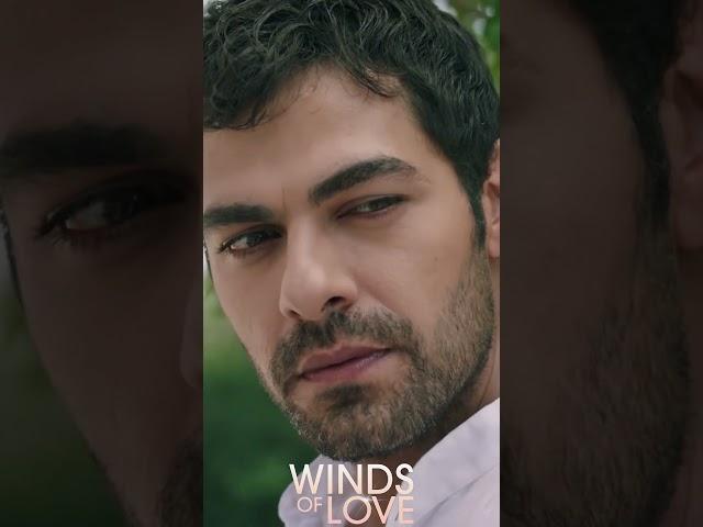 Zeynep'in dillere destan güzelliği | #windsoflove #shorts #ruzgarlitepe #turkishseries