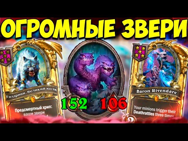 ЗОЛОТОЙ ВОЛК под ЗОЛОТЫМ РИВЕНДЕРОМ | Поля Сражений Hearthstone Battlegrounds