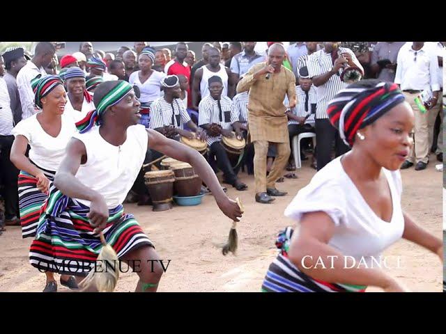 THE BEST TIV DANCE....A K A CAT DANCE