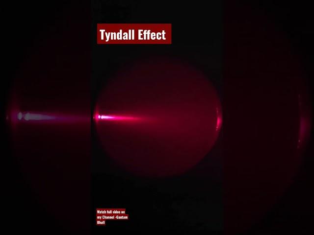 Tyndall effect- Colloidal Solution