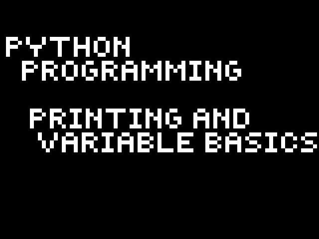 Python Basics - Print Statements and Variables