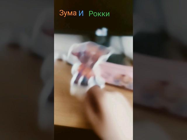 Зума и Рокки