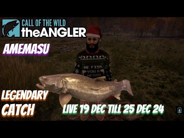 Amemasu live 19 Dec Till 25 Dec 24 #COTWTheAngler