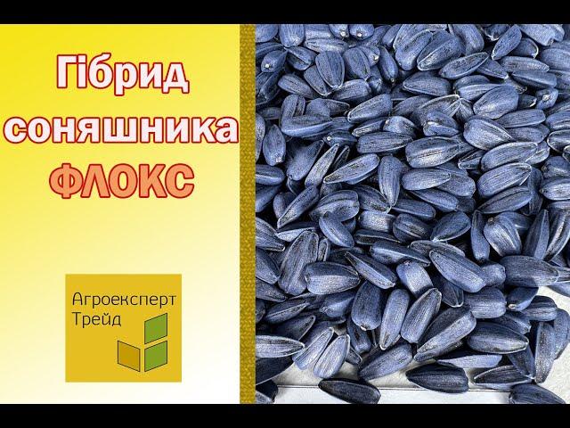 Соняшник Флокс , опис гібриду  - насіння в Україні