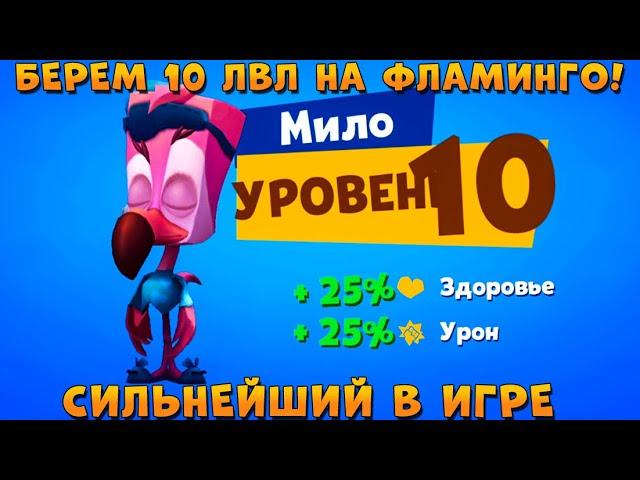 БЕРЕМ ФЛАМИНГО МИЛО 10 ЛВЛ - САМЫЙ СИЛЬНЫЙ ПЕРСОНАЖ В ИГРЕ ZOOBA: Free for all