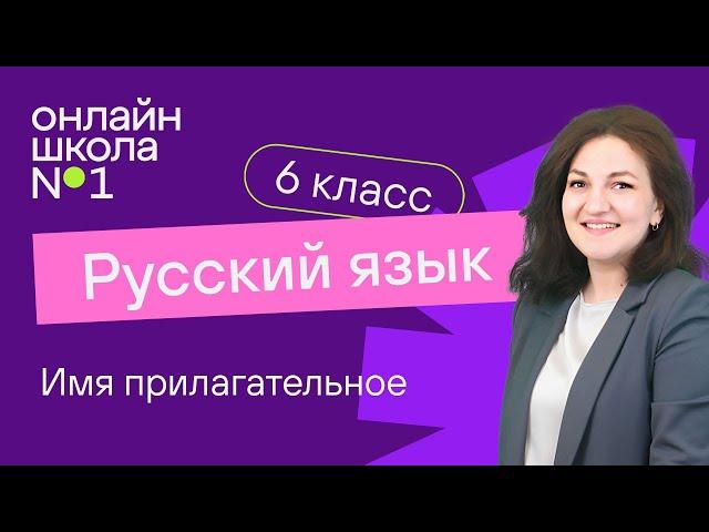 Имя прилагательное. Видеоурок 10. Русский язык 6 класс