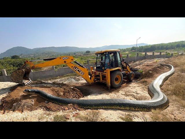 JCB 3dx Backhoe Loader Machine Loading Mud In Mahindra 475 Di Tractor and Stuck in Mud | Jcb Video