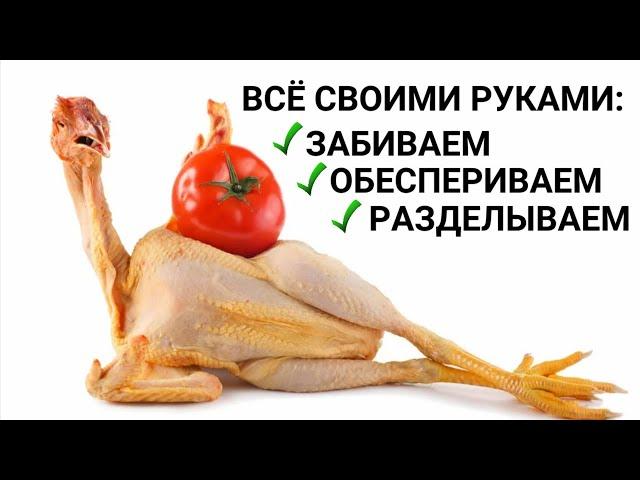 Быстрый забой, ощип и разделка курицы