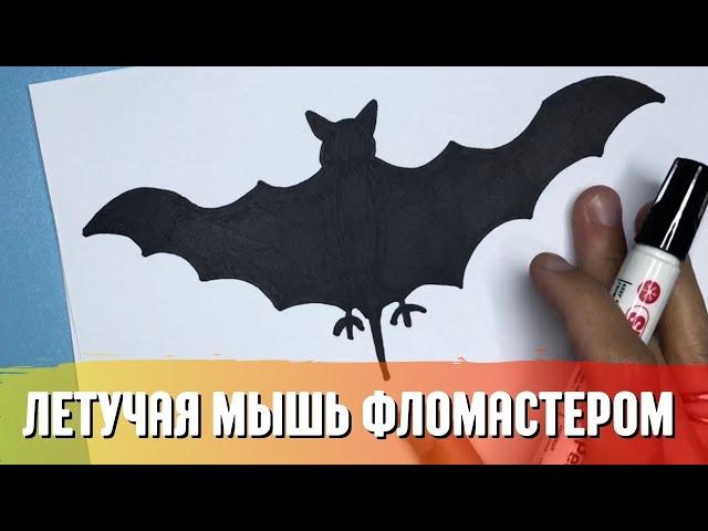 Летучая мышь / Как нарисовать летучую мышь / Простой рисунок