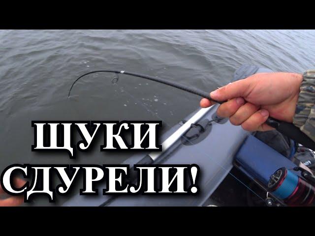 Эти щуки СДУРЕЛИ Я такого еще не видел! Поклевки типа отдай спиннинг я забью тебя им!