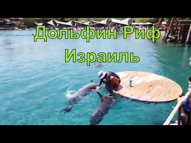 Израиль  ЭЙЛАТ. Красное море.  Дельфиновый Риф