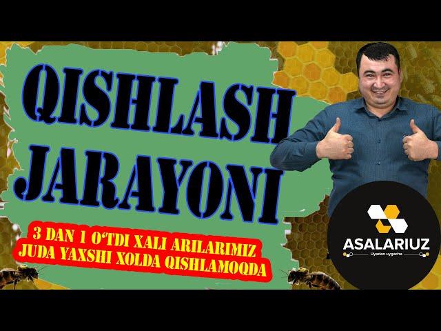 Qishlash jarayoni.