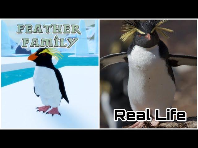 Feather Family In Real Life 9