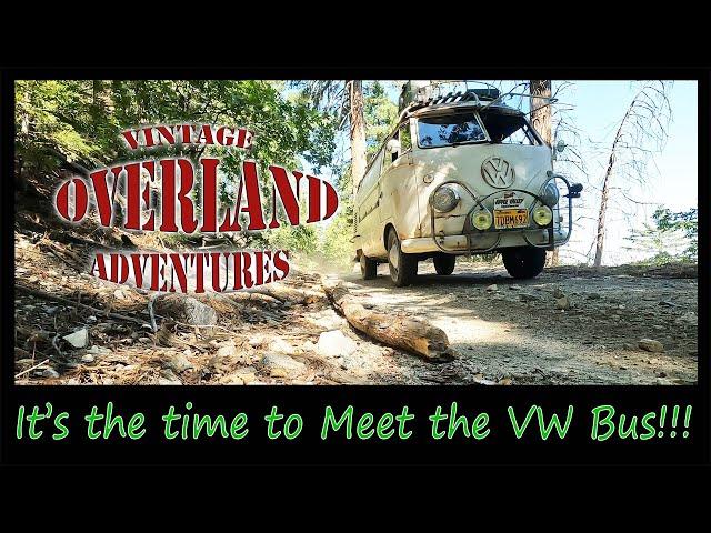 VW BUS Walk Around ! What's inside? Come along the Vintage Adventure!