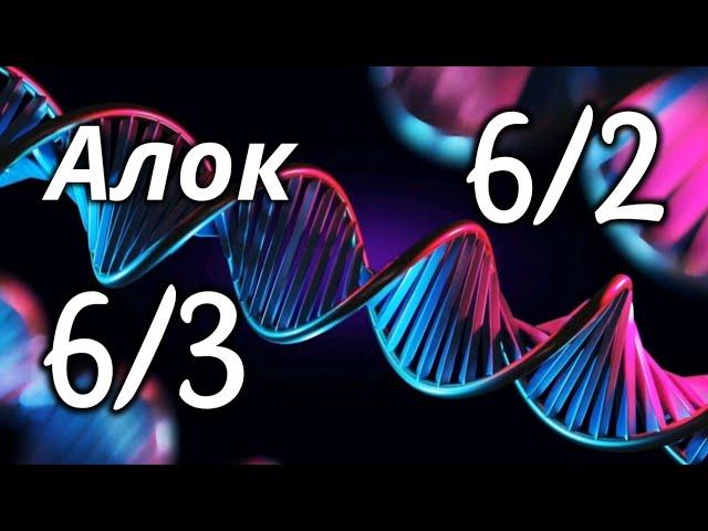 Профиль 6/2  - профиль 6/3 - Дизайн Человека - лекция Алока