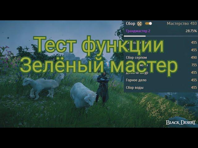 Сбор в Black Desert. Тест функции Зеленый мастер. Выгодно ли это на самом деле?