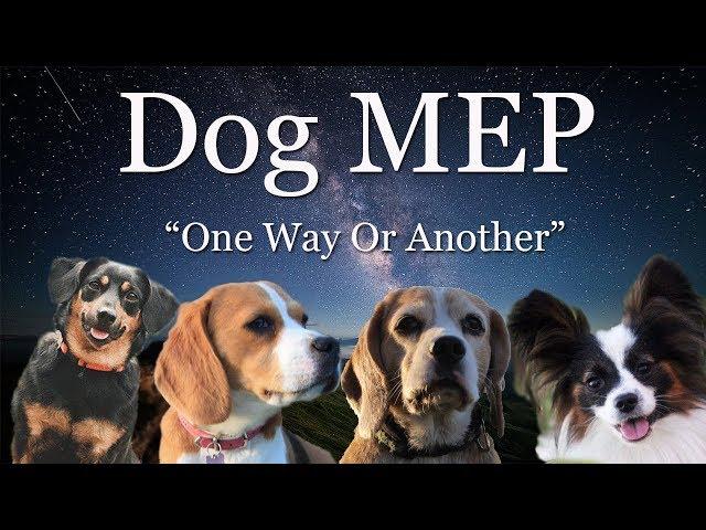 DOG MEP | One Way Or Another | Xena~Gina~Vic~Daddy