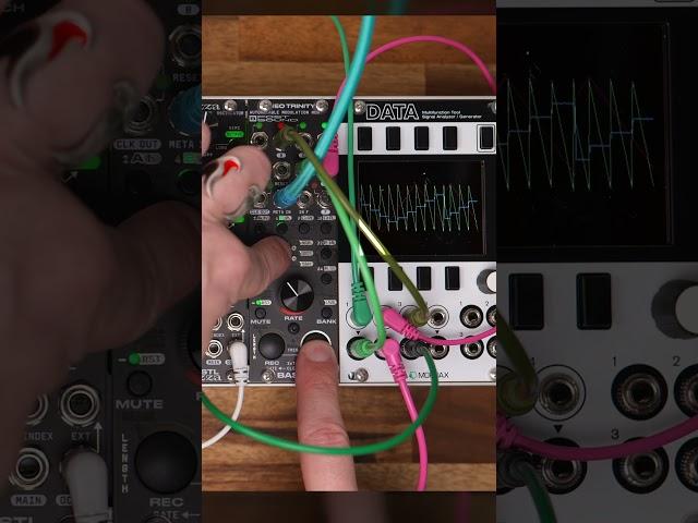 Stepped LFO With NEO TRINITY
