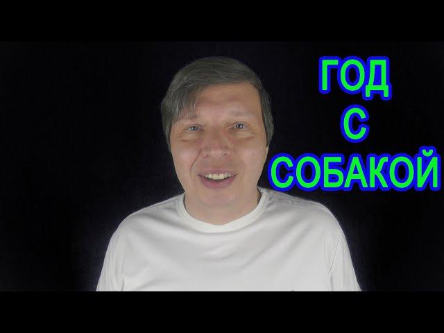 Год с собакой