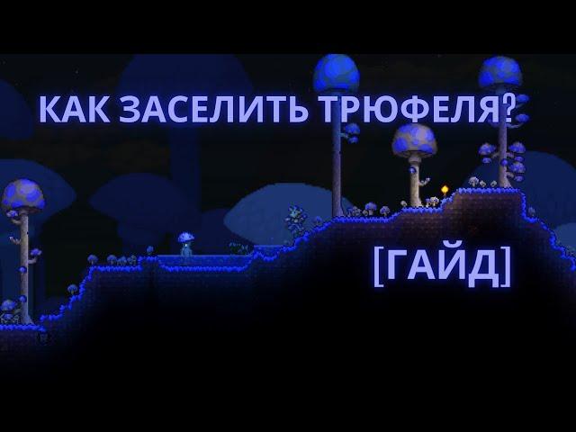 Как заселить Трюфеля?!|Terraria|Гайд|