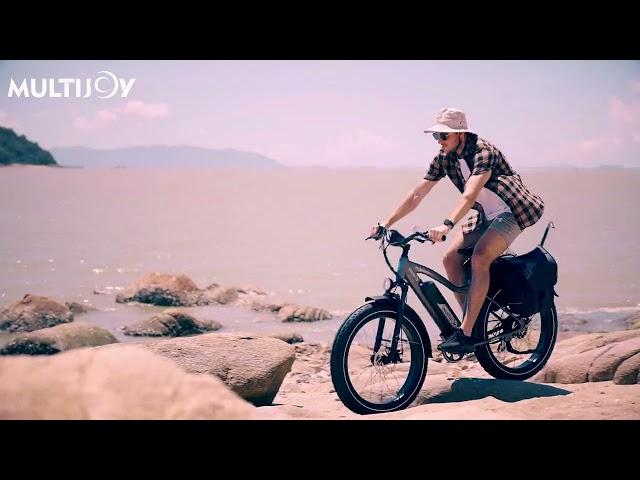 Multijoy Spaniel Ebike: Go Faster and Further / LG High Quality Battery / LCD Color Display.