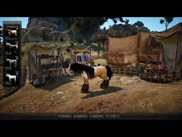 Black Desert T9 Awakening from T8: How to get Arduanatt / Pegasus Dream Horse