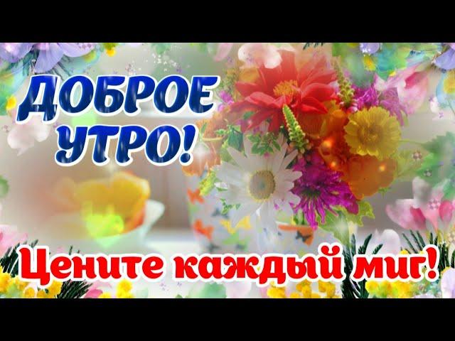 Доброе утро! 🪷 Цените каждую минуту нового дня! ️ Красивые пожелания для вас 