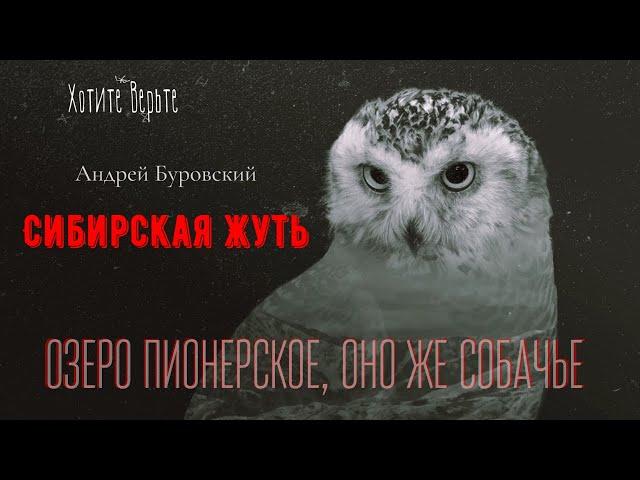 Сибирская Жуть: ОЗЕРО ПИОНЕРСКОЕ, ОНО ЖЕ СОБАЧЬЕ Сентябрь 1969 г. (автор: Андрей Буровский).