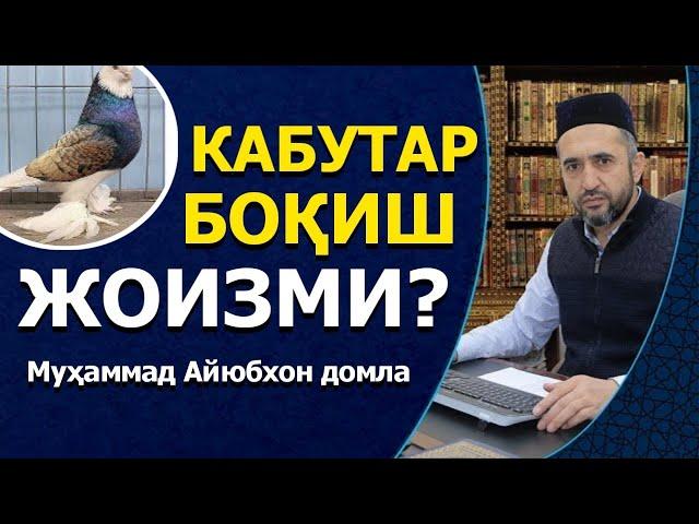 Namozhon odam kabutar boqsa bo'ladimi? | Muhammad Ayyubxon domla