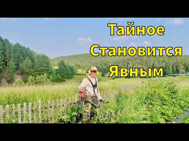 Приехали на заимку | Все тайное становится явным | Обзор ягодного поля