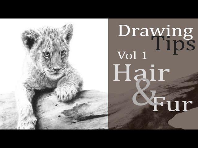 Drawing Tips - Vol 1 Hair & Fur