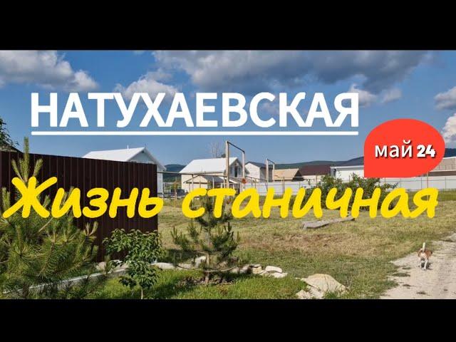 НАТУХАЕВСКАЯ.Будни станичников. Май 2024.#переезднаюг