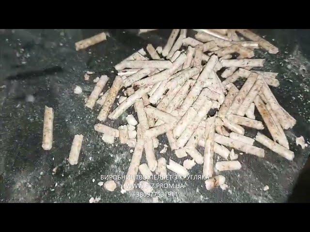 Виробництво пелет з кругляка. Обладнання для паливних гранул. Wood pellet line. www.f-z.prom.ua