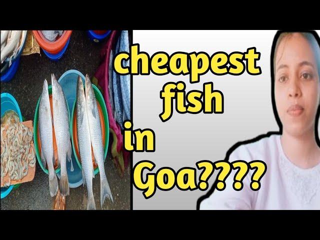 Cheapest fish in goa? // weekly market #weekly market #fishmarket