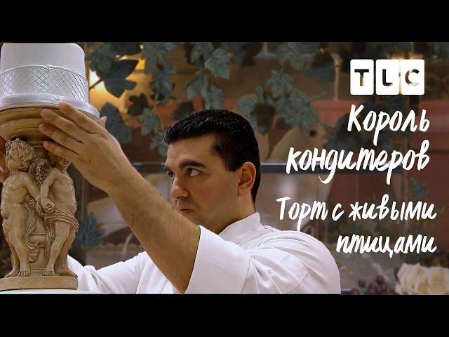 Торт с живыми птицами | Король кондитеров | TLC