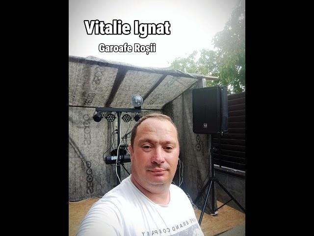 Vitalie Ignat - Garoafe roșii