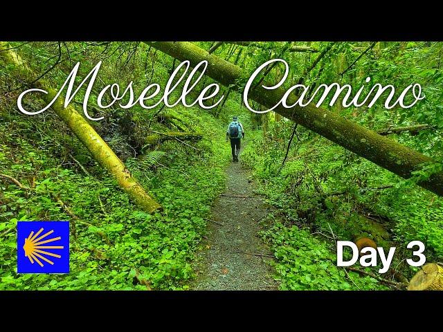 Moselle / Mosel-Camino | Jakobsweg / St. James Way | Day 3 | Beilstein — Treis-Karden