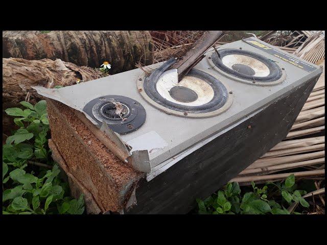 Restoration old tree speaker Bass 16 - Restore a mini tree speakers