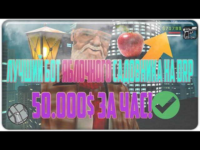 50.000$ ЗА ЧАС! ЛУЧШИЙ БОТ САДОВНИКА НА DIAMOND RP / ЧИТЫ САМП