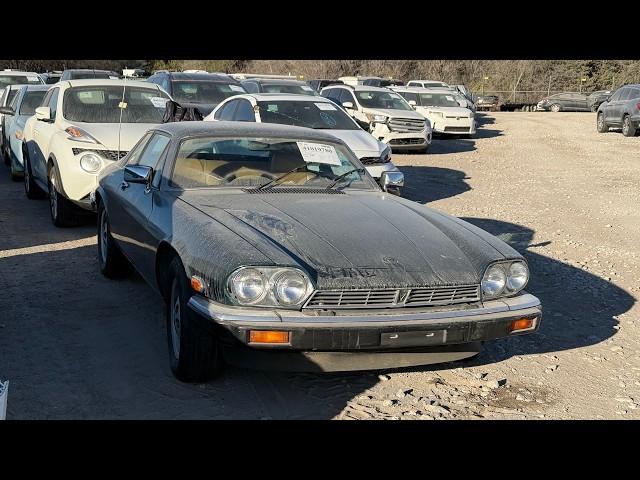 This Rare v12 Jaguar XJS has SUPER LOW MILES at IAA! Will it Run?