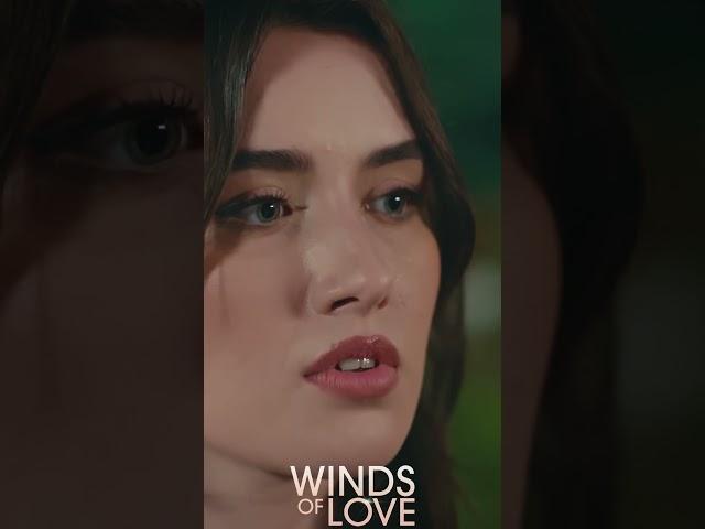 Bu yüzüğe layık tek kadın sensin Zeynep | #windsoflove #shorts #ruzgarlitepe #turkishseries