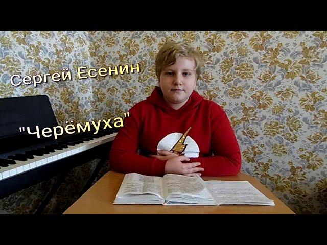 Обзор (анализ) стихотворения Сергея Есенина "Черёмуха". ГДЗ литература Курдюмова 5 класс