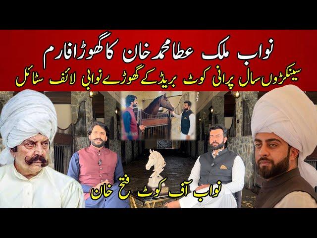 Nawab Malik Atta Muhammad Khan's Horse Farm | Exclusive Interview | 100 years old horse breed