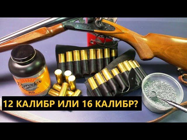  12 КАЛИБР ИЛИ 16 КАЛИБР?  ВСЕ ЗА И ПРОТИВ.