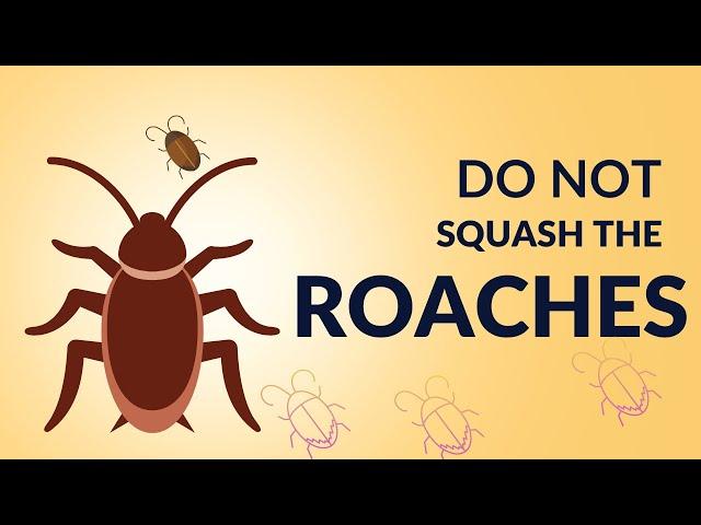 Do not squash that cockroach! Do this instead! #viral, #trending , #science