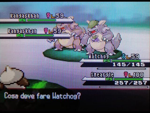 Shiny Kangaskhan After 55350 Re's Total and 10 Phases !!!