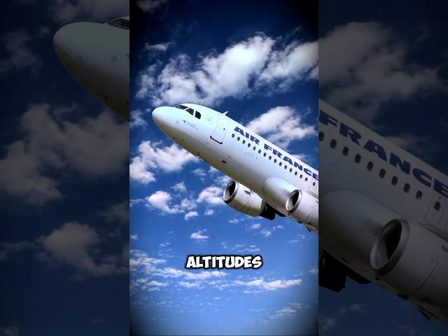 Why Do Airplane Windows Have Tiny Holes? ️
