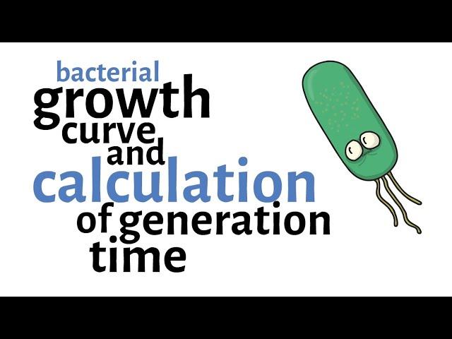 Bacterial Growth Curve & Generation time Calculation