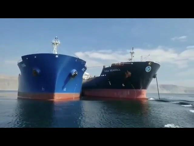 Фрахт Судна в Тайм-Чартер.морская логистика